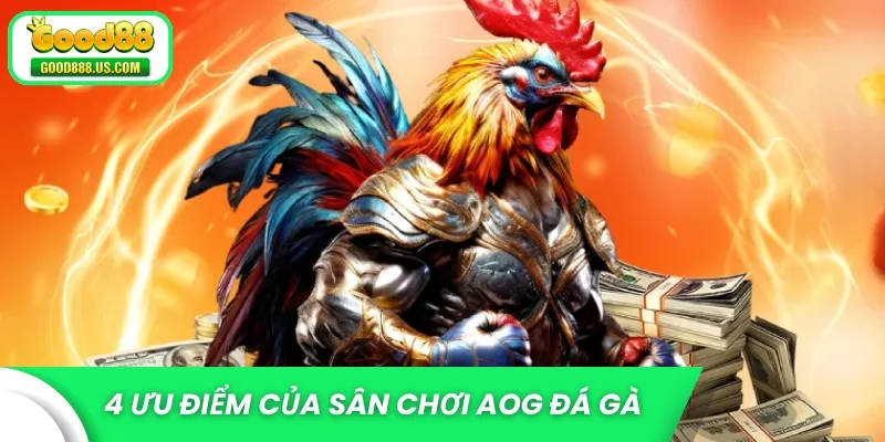 4 ưu điểm của sân chơi AOG đá gà