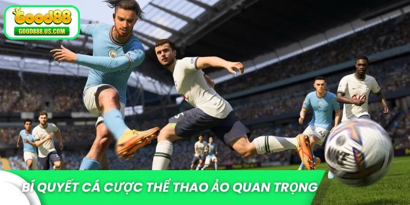 Bí quyết cá cược thể thao ảo quan trọng nhất 2025