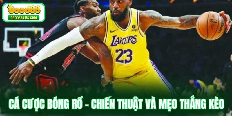 Cá Cược Bóng Rổ - Chiến Thuật Và Mẹo Thắng Kèo Hiệu Quả