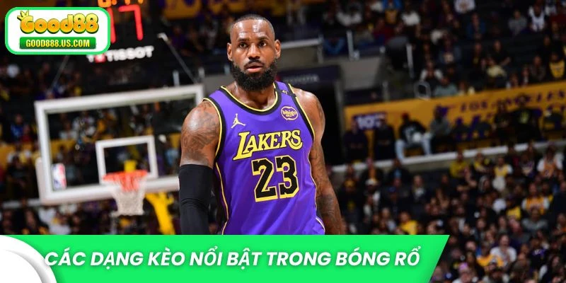 Các dạng kèo nổi bật trong bóng rổ bạn cần tìm hiểu