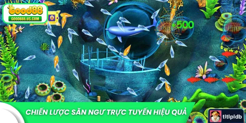 Chiến lược săn ngư trực tuyến hiệu quả