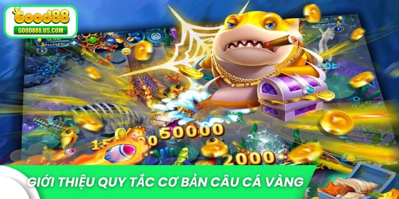 Giới thiệu quy tắc cơ bản trong câu cá vàng
