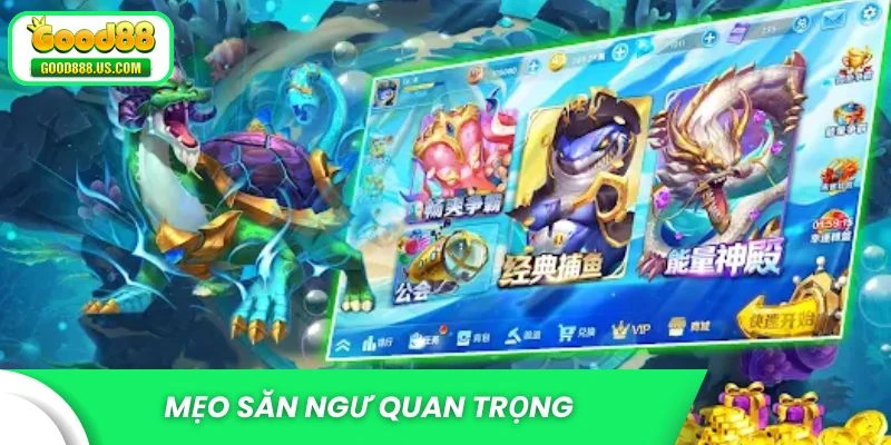 Mẹo săn ngư quan trọng giúp nâng cao hiệu quả