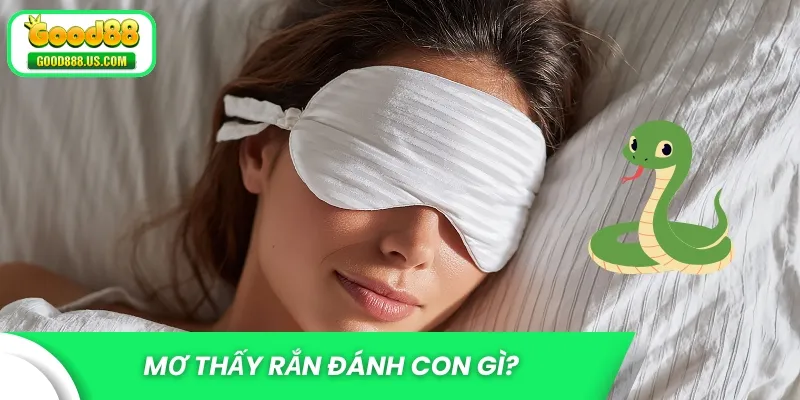 Mơ thấy rắn đánh con gì?
