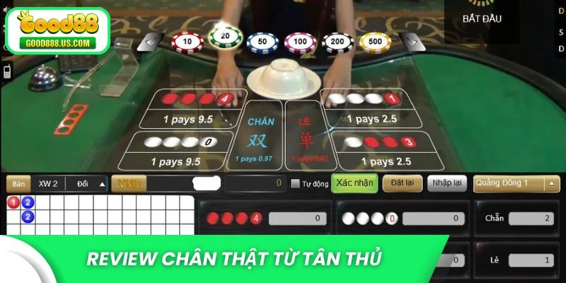 Review chân thật từ tân thủ