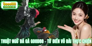 Thuật Ngữ Đá Gà Good88 - Từ Điển Võ Đài Thực Chiến
