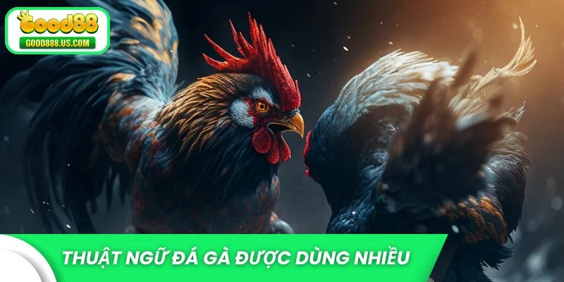 Thuật ngữ đá gà phổ biến tại Good88
